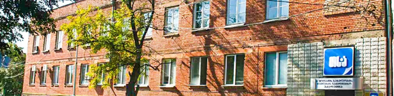 PETRE SHOTADZE TBILISI MEDICAL ACADEMY FACULTY OF MEDICINE