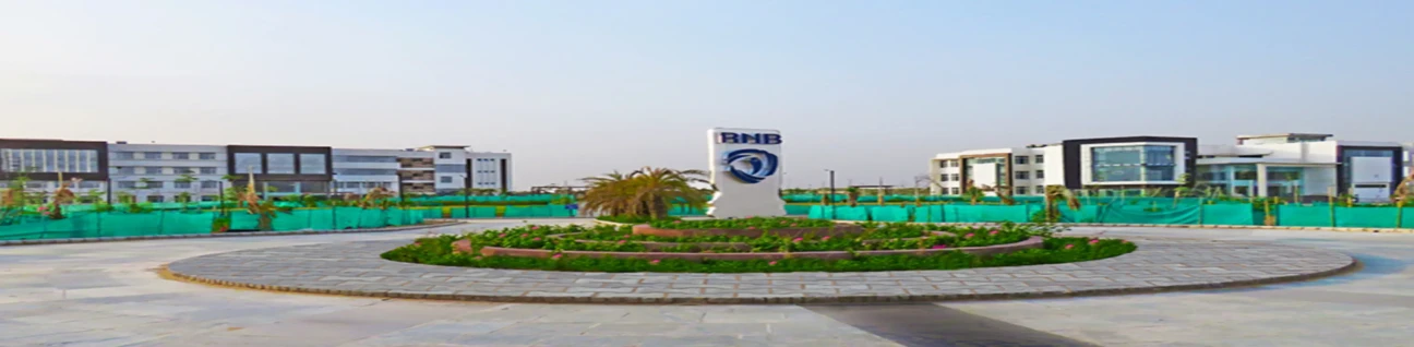 RNB Global University