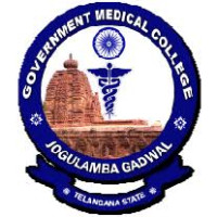 Government Medical College, Jogulumba Logo